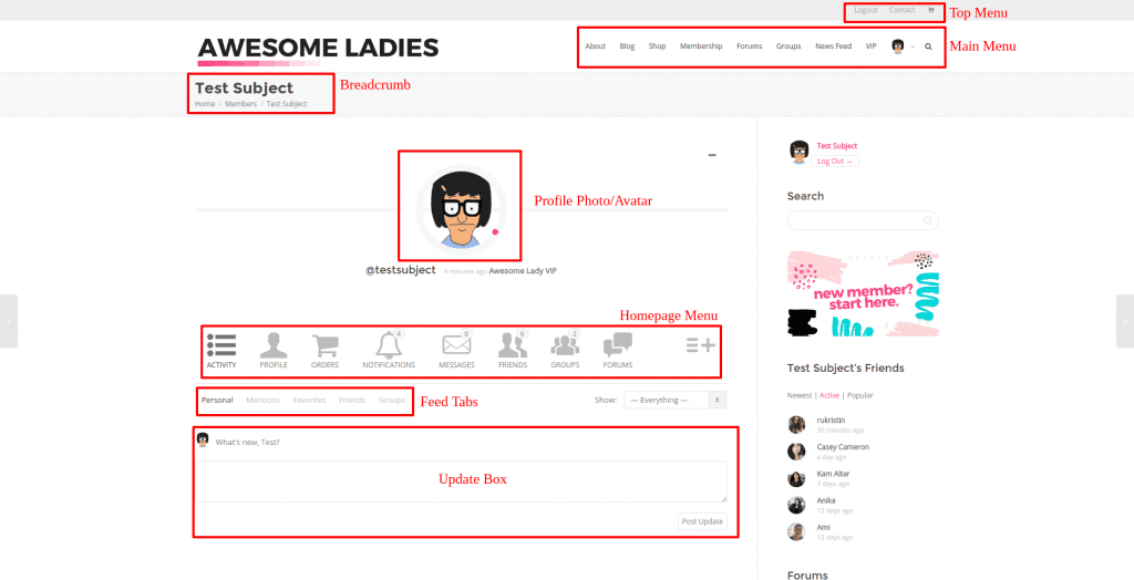The Awesome Ladies Project Profile Screenshot
