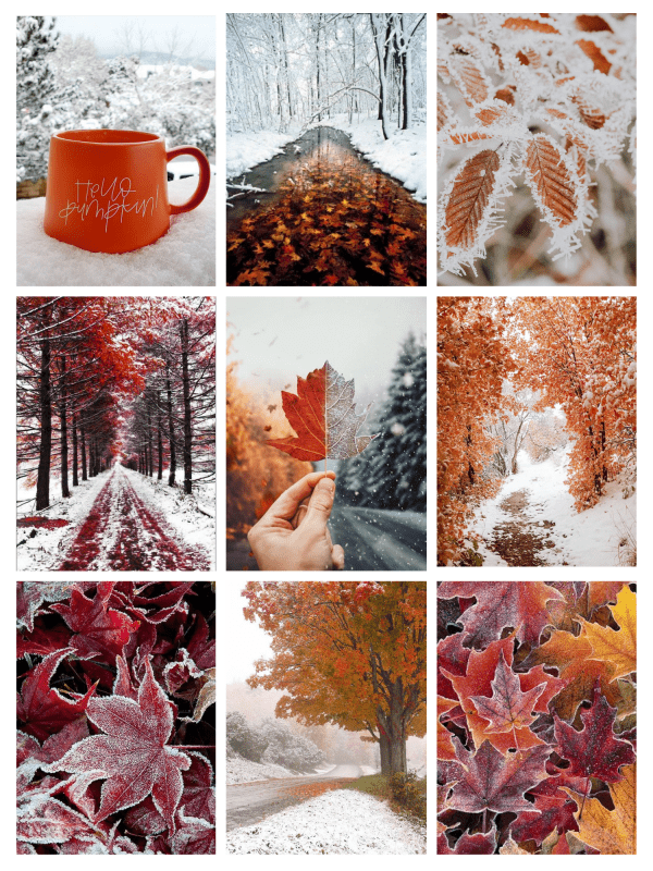 10 Projects Created with Canva – The Awesome Ladies Project